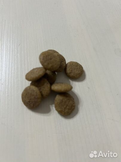 Корм для собак royal canin medium