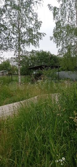 Участок 9,5 сот. (СНТ, ДНП)