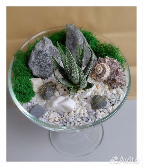 Флорариум открытый