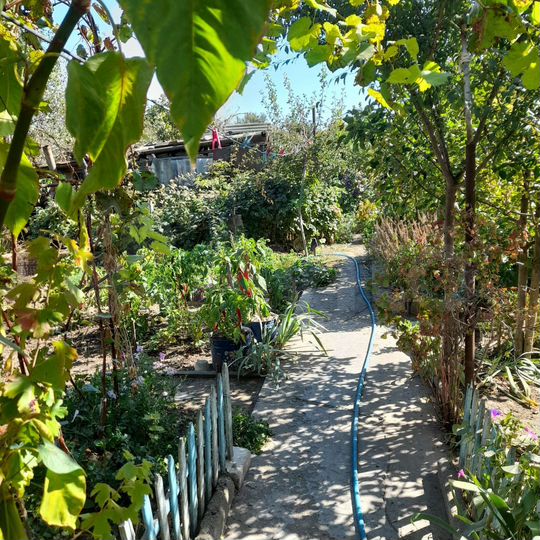 Дом 66,4 м² на участке 7 сот.