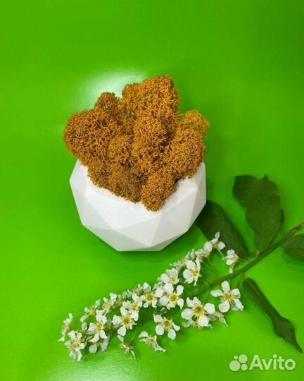 Декоративное кашпо из гипса