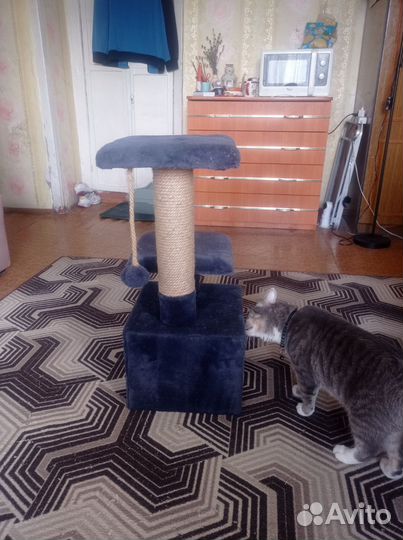 Когтеточка домик для кошки
