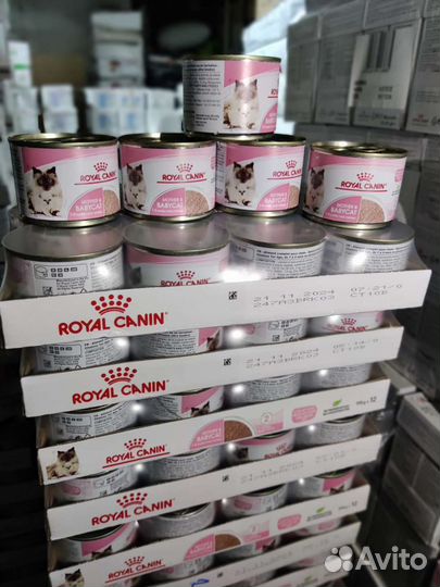 Корм Royal canin Mother and babycat 195г