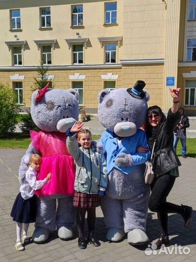 Ростовая кукла/поздравление от медведя