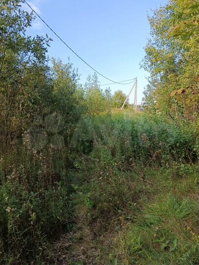 Участок 11 сот. (ИЖС)