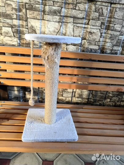 Когтеточка