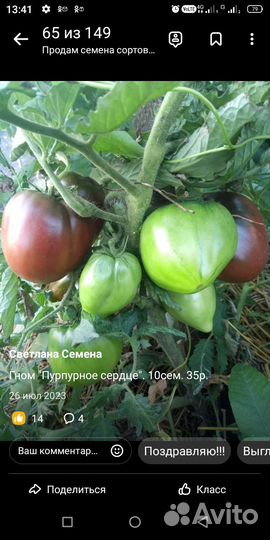 Семена коллекционных сортов томатов