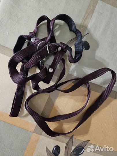 Шлейка поводок для кошки и др