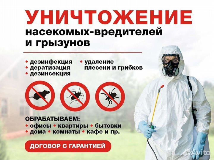 Уничтожение тараканов дезинсекция дезинфекция