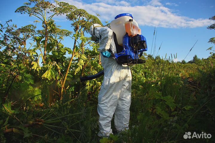 Обработка от клещей кротов комаров борщевика ос