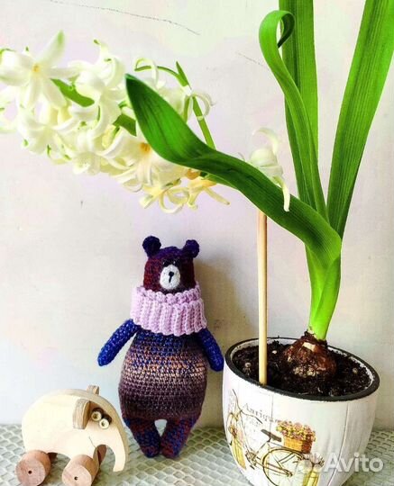 Медведь Брэдди