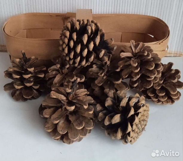 Корзинка с шишками