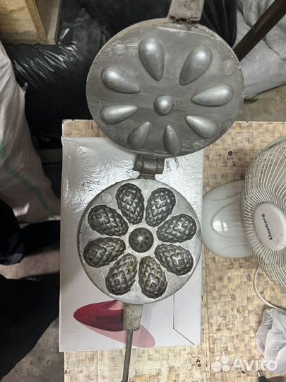 Орешница шишки СССР