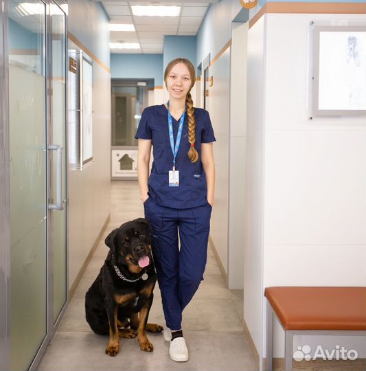 Личный ассистент