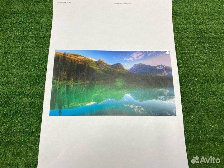 Лазерное мфу HP Color LaserJet Pro MFP M479fnw