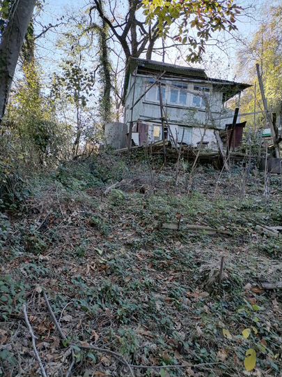 Участок 6 сот. (СНТ, ДНП)