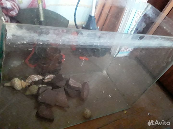 Морской аквариум