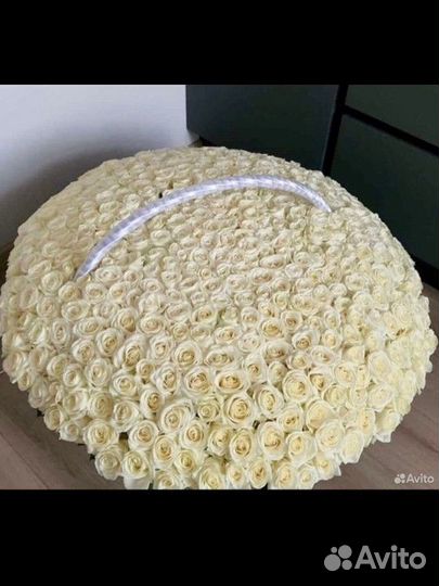 Пионыи и Розы круглосуточно