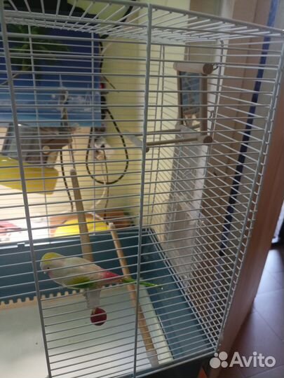 Клетка для попугая