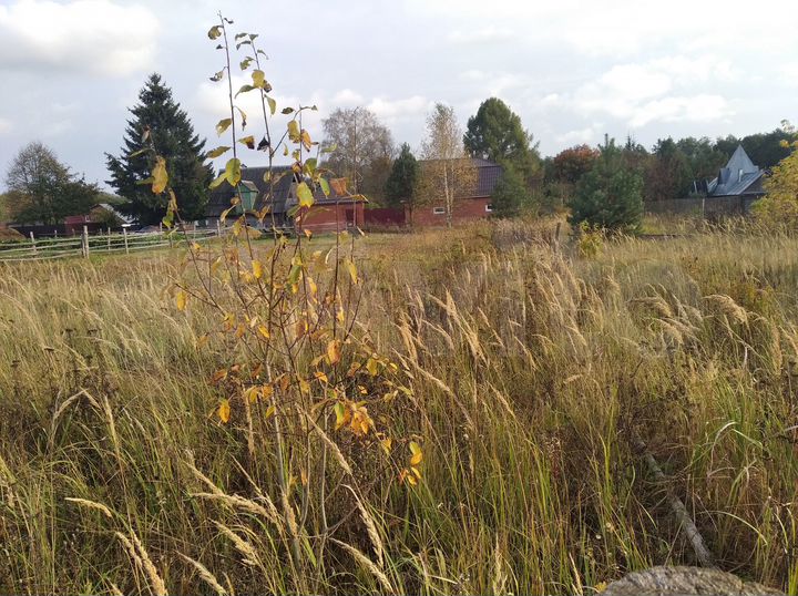 Участок 15 сот. (ИЖС)