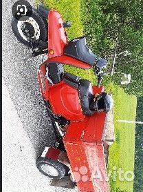 Продам муравей