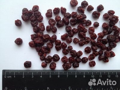 Брусника сушеная