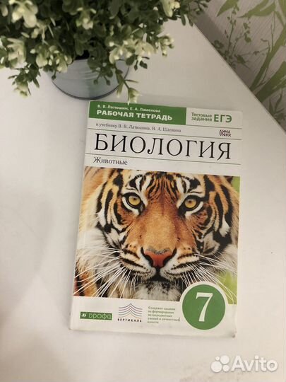 Рабочие тетради 7 класс