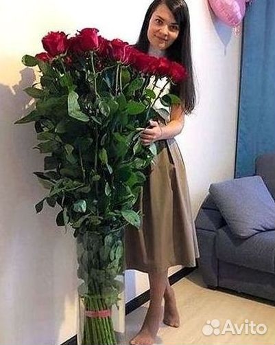 Высокие розы Гигантские Розы 150 160 170 180 190см