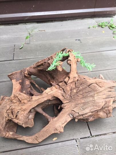 Аквариумные декор дерево специалное отмоченое