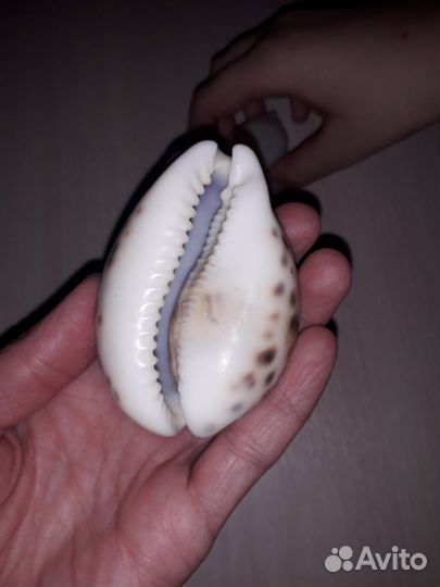 Фарфоровые статуэтки