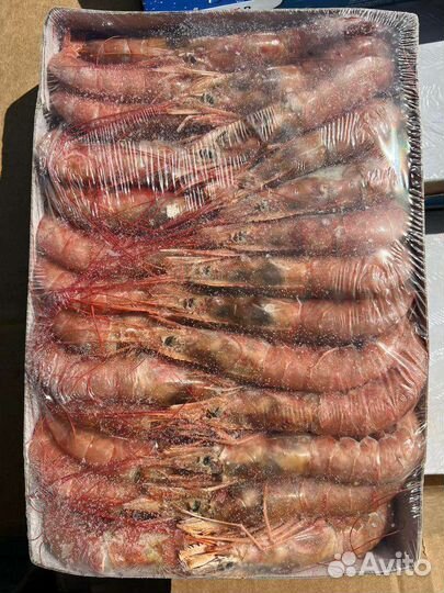 Лангустины(креветка аргентинская)