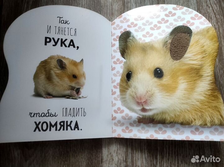 Детские книги. Книга для малышей