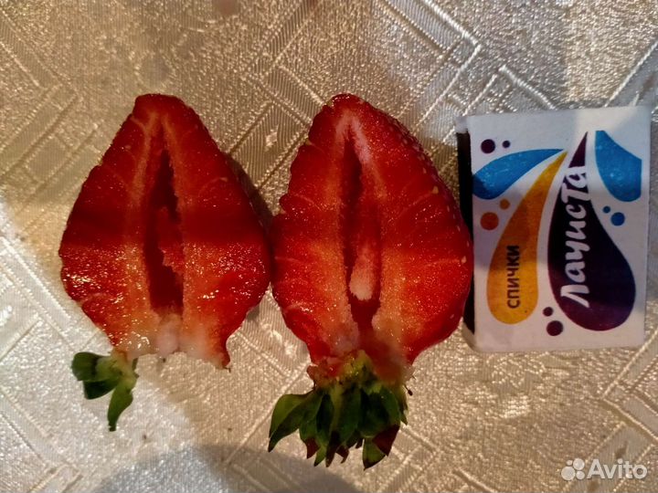 Рассада сортовой клубники в стаканчиках