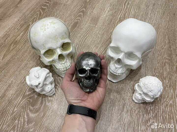 Черепа из гипса