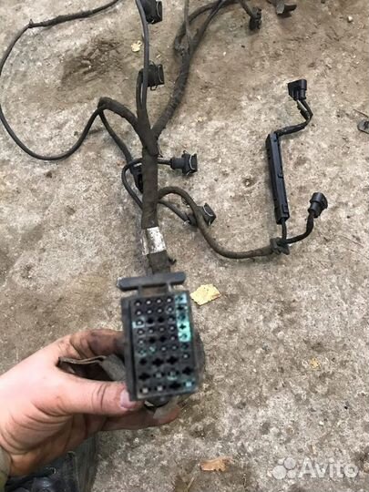 Жгут электропроводки двс Ssangyong Rexton 1