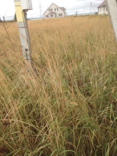 Участок 14 сот. (ИЖС)