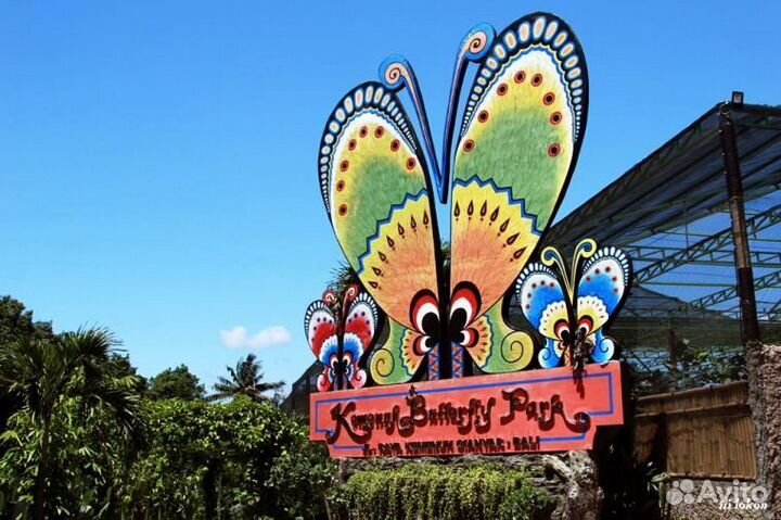 Франшиза Парка живых тропических бабочек Флай-Флай