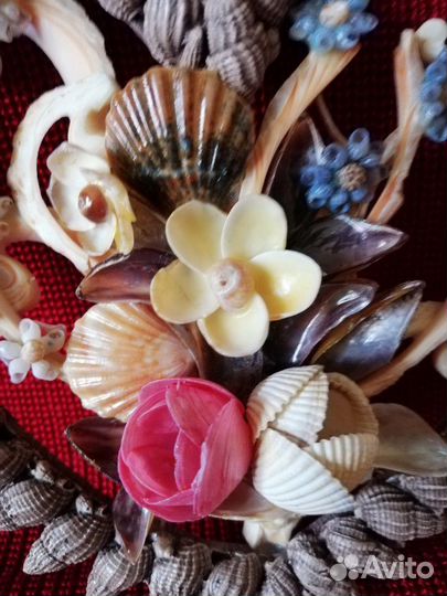Картины из ракушек
