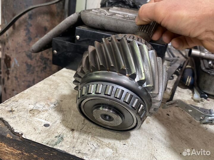 Паросенок на 221 mercedes