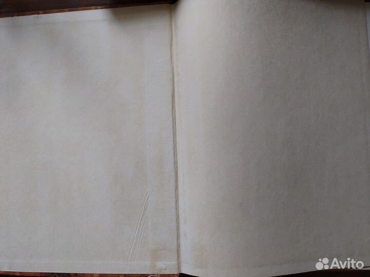 Поведение животных. Тинберген