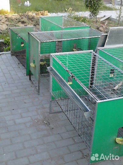Клетки для кур и перепелов
