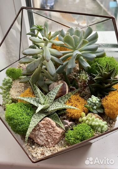 Флорариум «Полусфера с гранями »