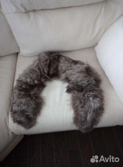 Меховой воротник песец