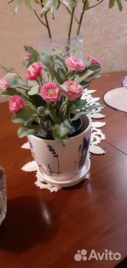 Цветы в кашпо из Икеи