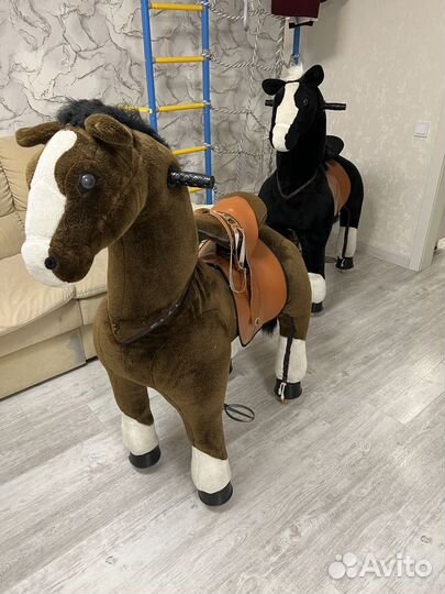 Лошадка поницикл