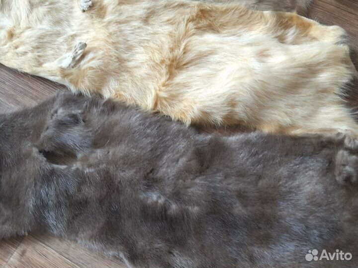 Шкурки зверьков ценных пород