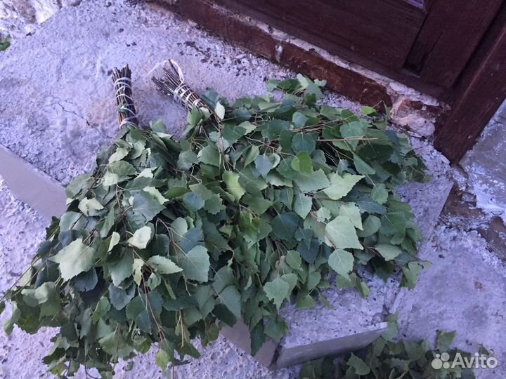 Веники берёзовые