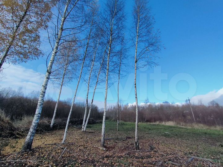 Участок 15,8 сот. (ИЖС)