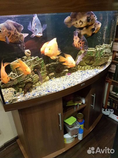 Украшения для аквариума