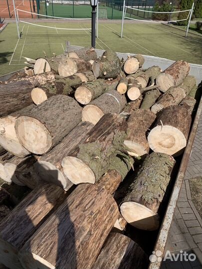 Дрова бесплатно